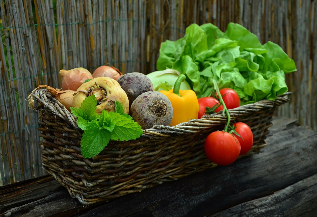 Best Nutrition Food for Energy and Long-Term Health